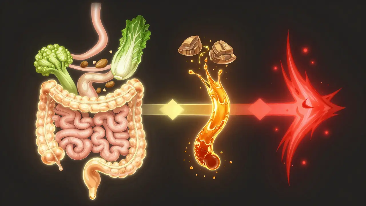 Ein schematischer, leuchtender Verdauungstrakt zeigt die richtige Essreihenfolge als ruhige Energieflussbahn.